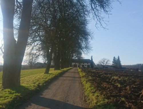 Sicht auf den Ödhof